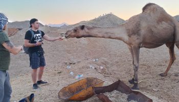 Ab Marsa Alam Quad Fahrt  Kamelsafari und Beduinendorf