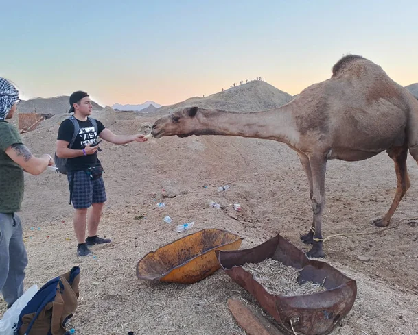 Ab Marsa Alam Quad Fahrt  Kamelsafari und Beduinendorf