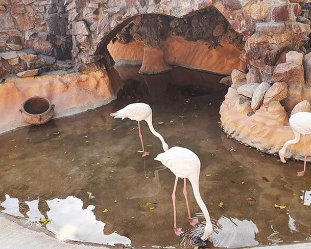 Großes Aquarium