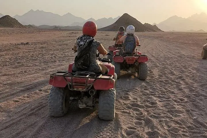 Ein umfassendes Safarierlebnis in Hurghada