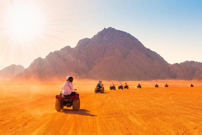 Ein umfassendes Safarierlebnis in Hurghada